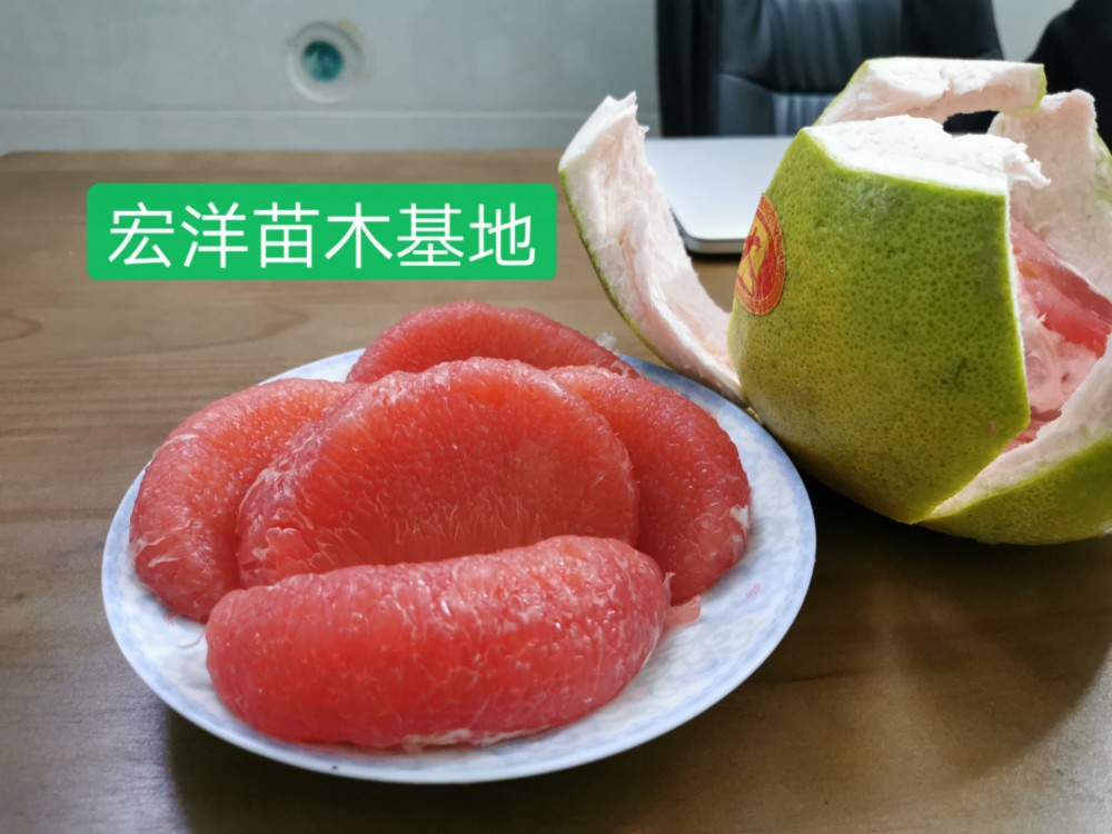 ΢ͼƬ_20191007214029.jpg