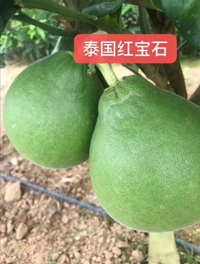 ΢ͼƬ_20191007214119.jpg