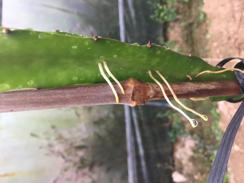 ΢��ͼƬ_20191014212403.jpg