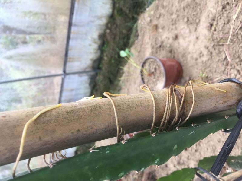 ΢��ͼƬ_20191015205012.jpg