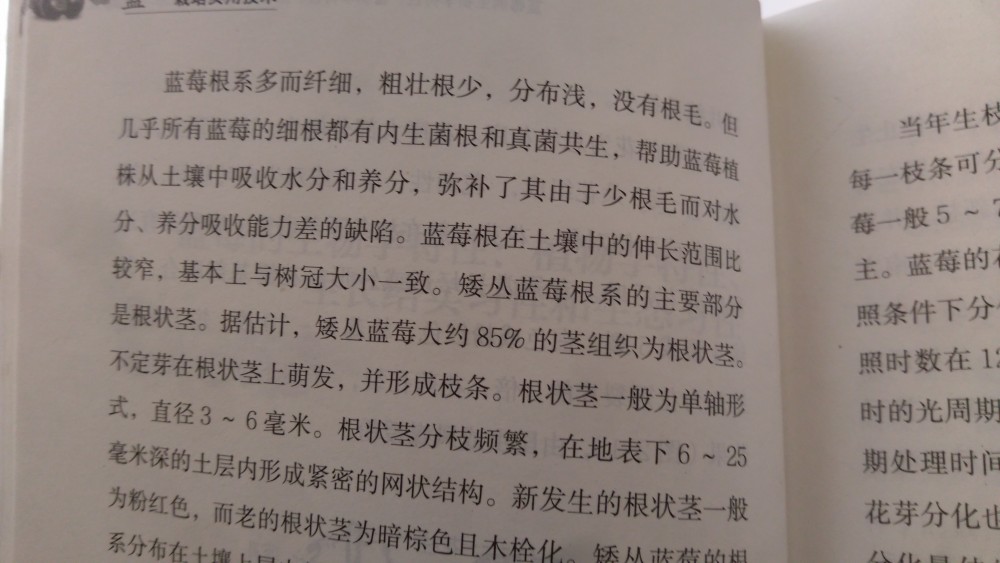 IMAG1129.jpg