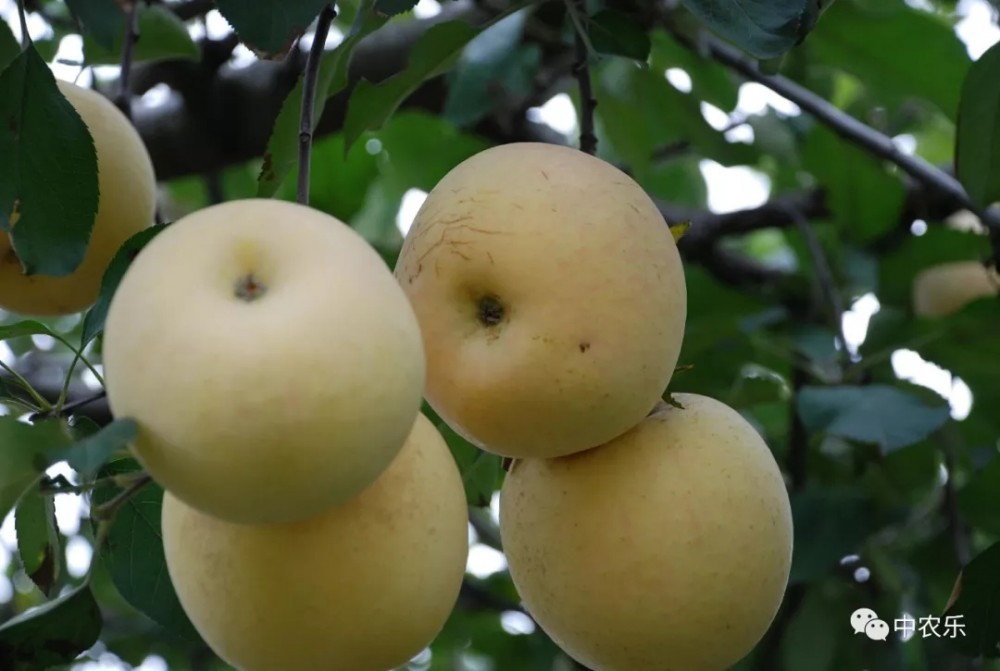 14.webp (1).jpg