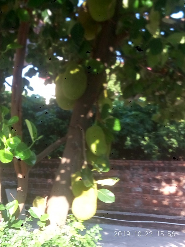 P91022-155629.jpg