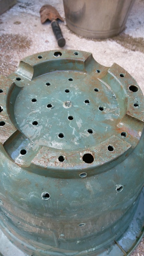 IMAG1124.jpg