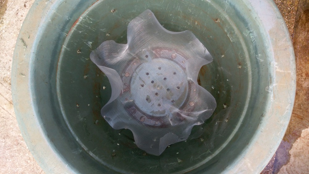 IMAG1125.jpg