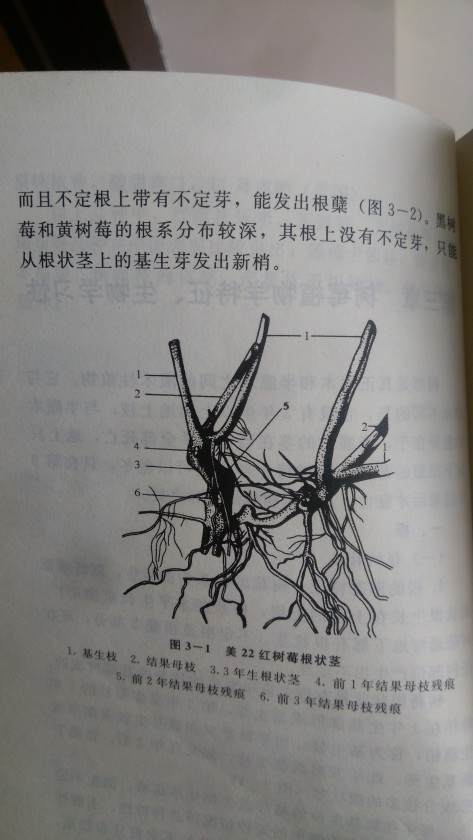 IMAG1010.jpg