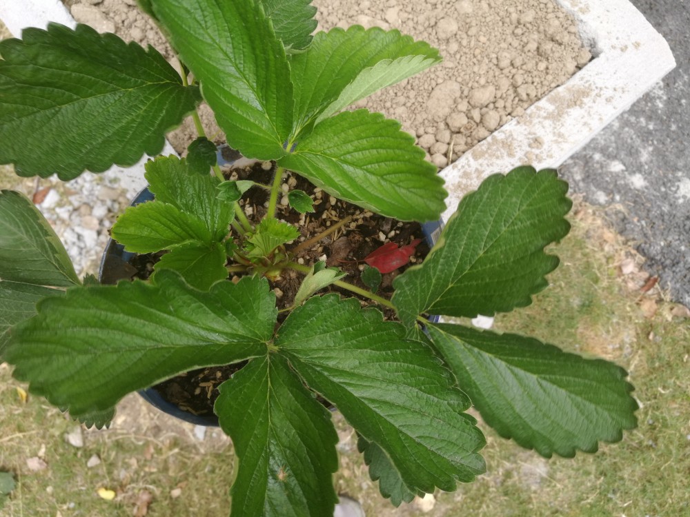IMG_20191026_090126.jpg