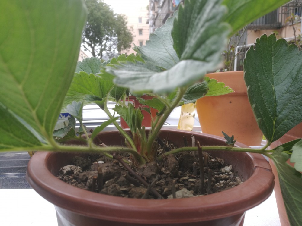 IMG_20191026_085335.jpg