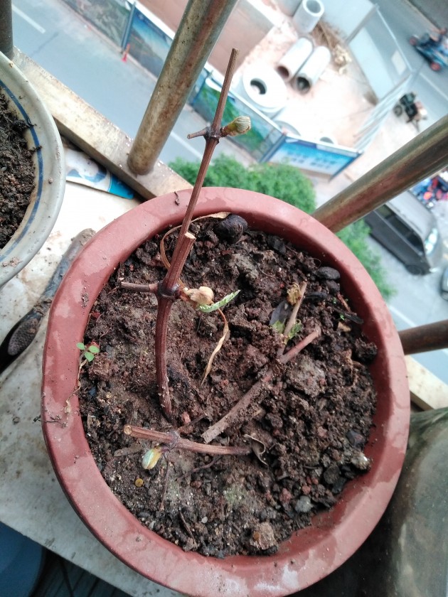 ΢ͼƬ_20191027201407.jpg