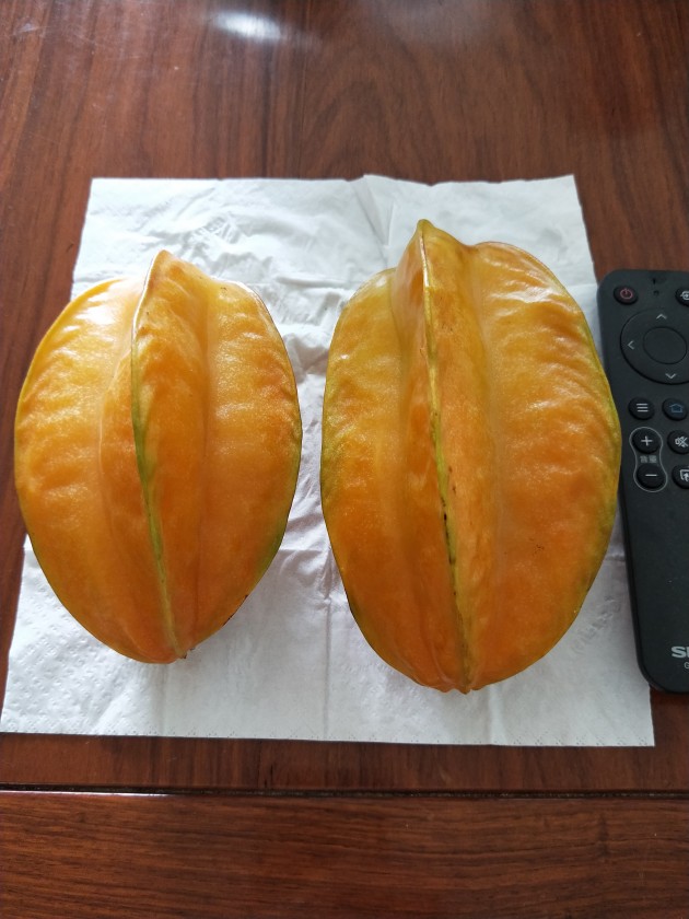 IMG20191103103354.jpg