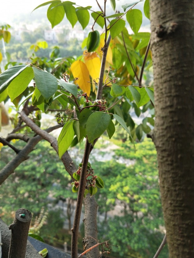 IMG20191104072916.jpg