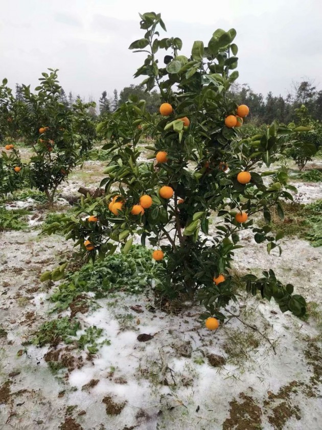 ѩе˰201812302.jpeg