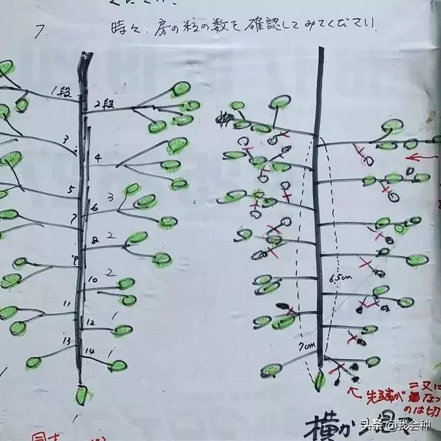 6370871731612105676641537.jpg