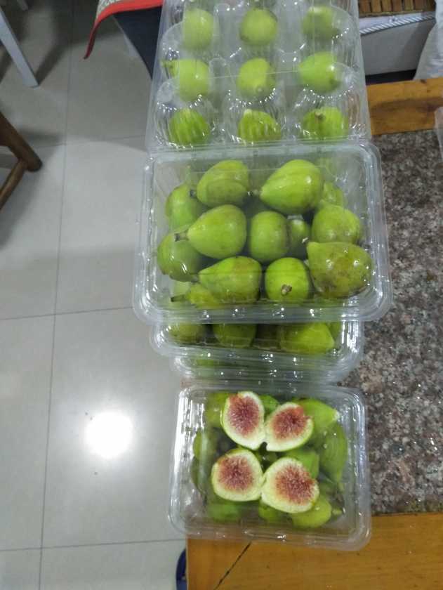 IMG20190904223118.jpg
