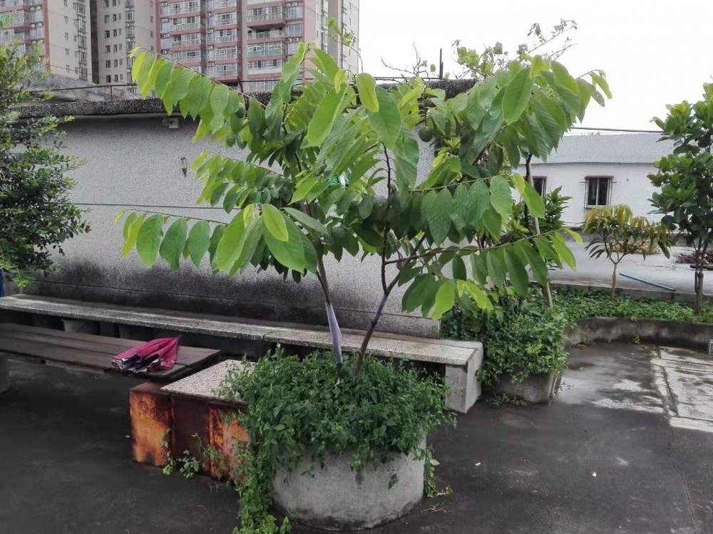 ΢ͼƬ_20190713194357.jpg