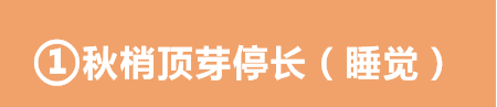 6370969169611984686627248.png