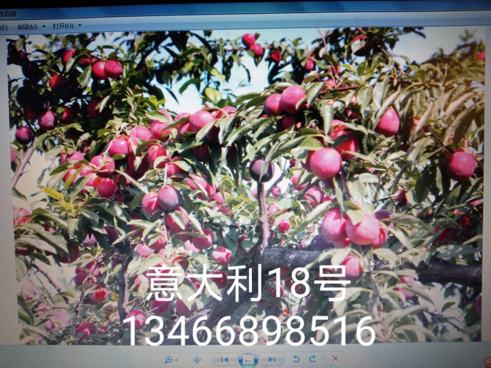 IMG_20191120_203347.jpg
