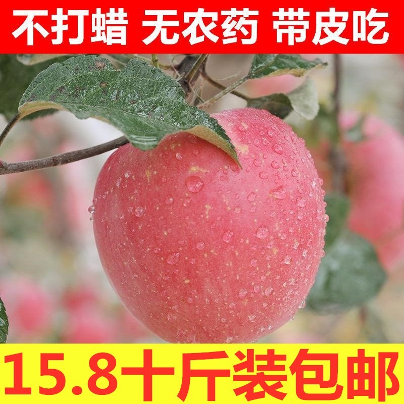O1CN011kKxe12FPQSvC9qFl_!!756978872.jpg
