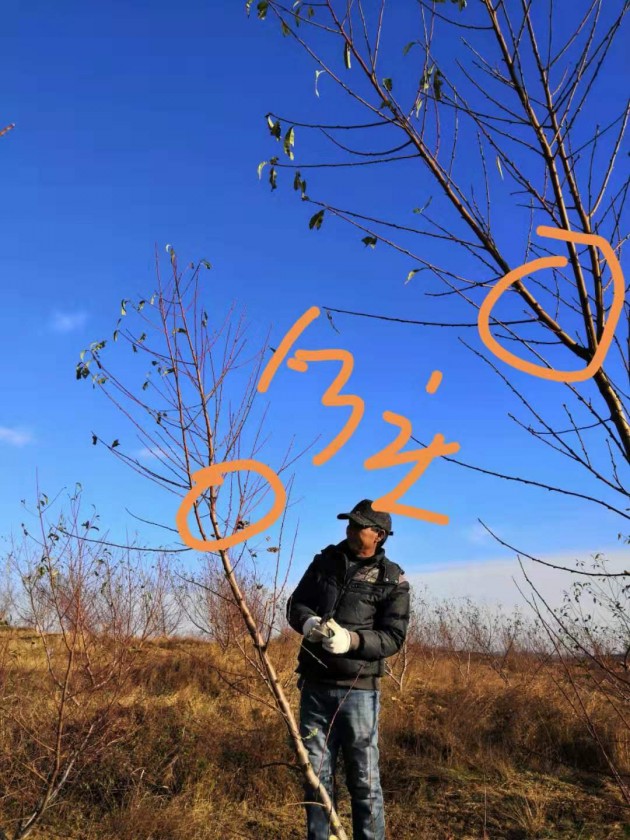 ΢ͼƬ_20191125204340.jpg