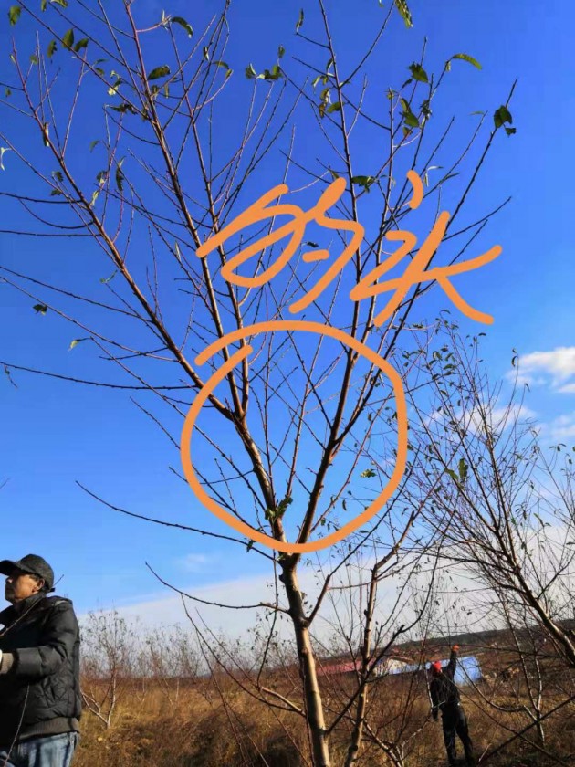 ΢ͼƬ_20191125204344.jpg