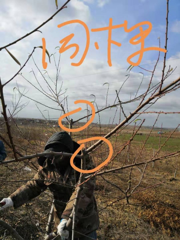 ΢ͼƬ_20191125204411.jpg