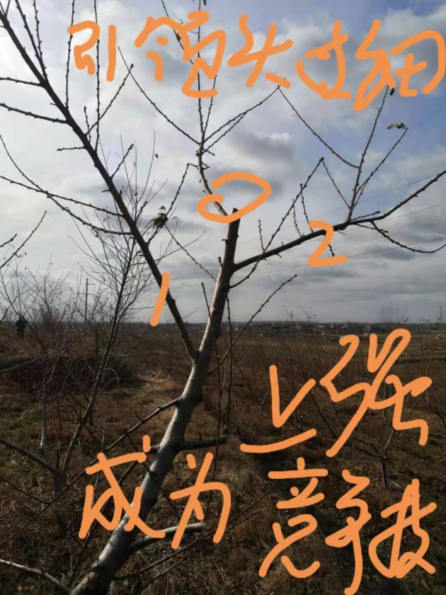 ΢ͼƬ_20191125204407.jpg