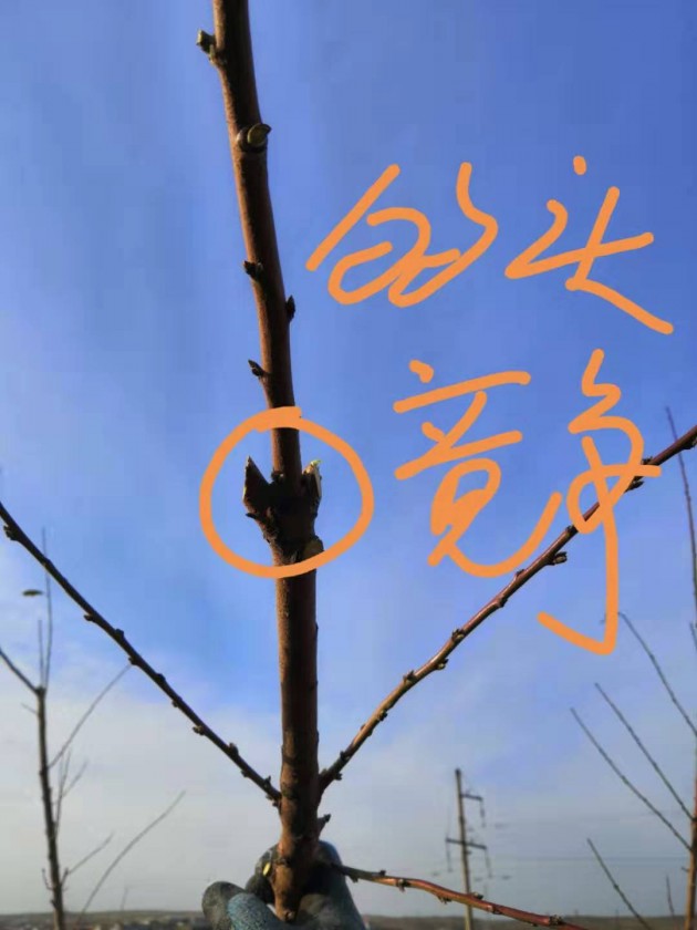 ΢ͼƬ_20191125204429.jpg