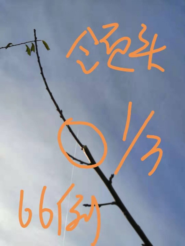 ΢ͼƬ_20191125204424.jpg
