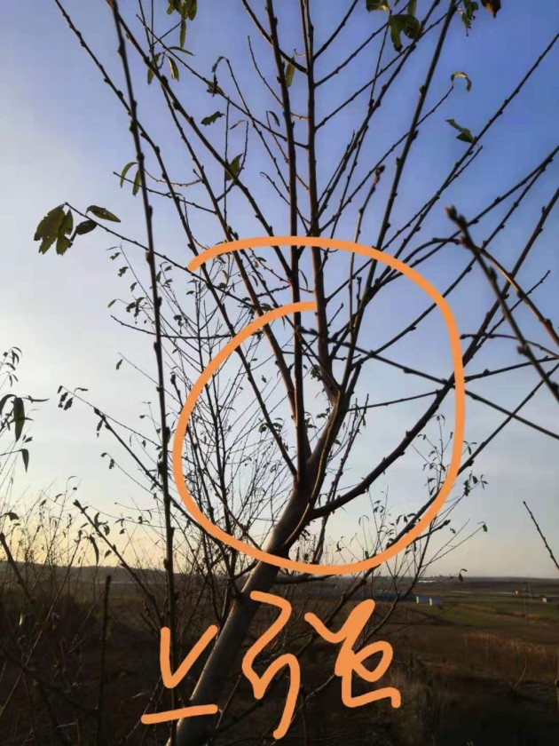 ΢ͼƬ_20191125204454.jpg