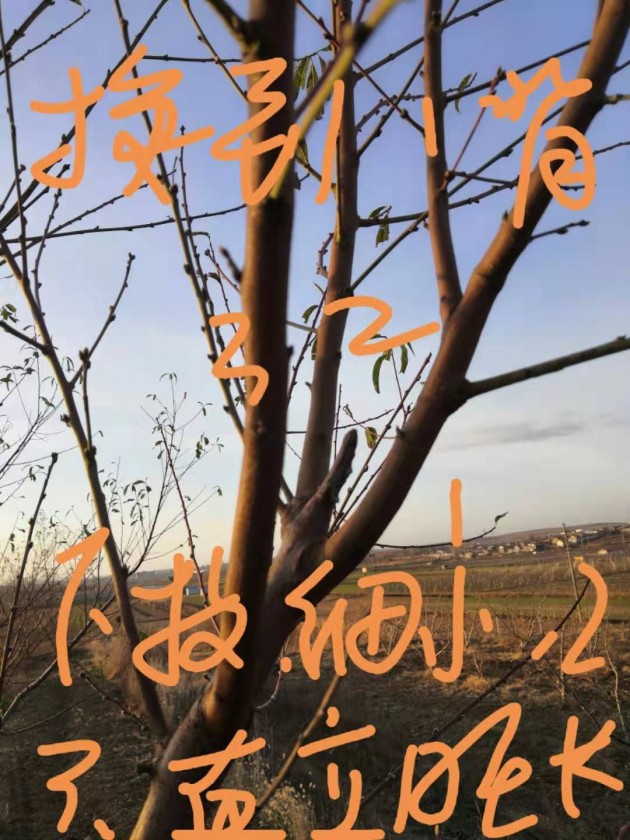 ΢ͼƬ_20191125204513.jpg