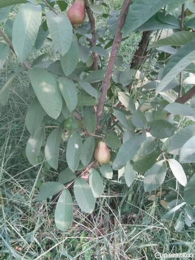 ΢��ͼƬ_2019112617474415.jpg