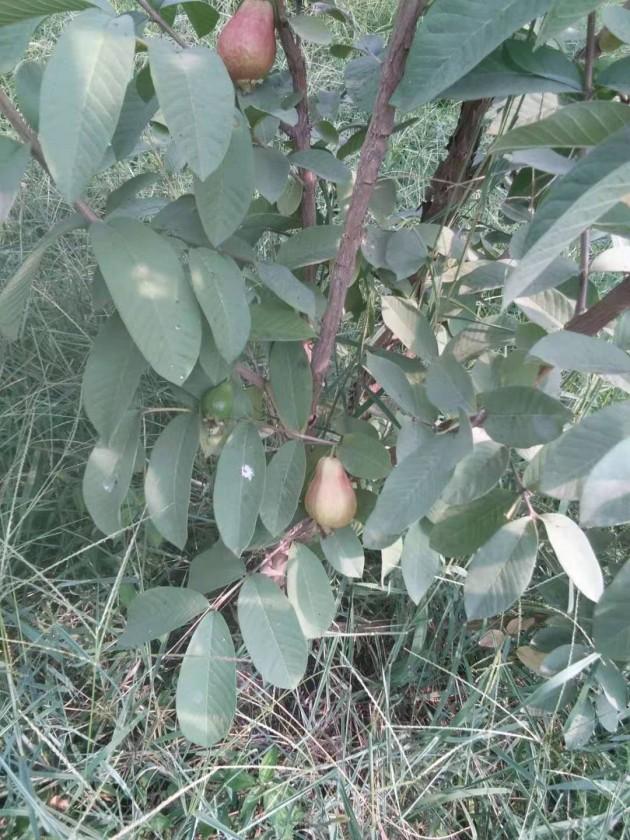 ΢��ͼƬ_2019112617474429.jpg
