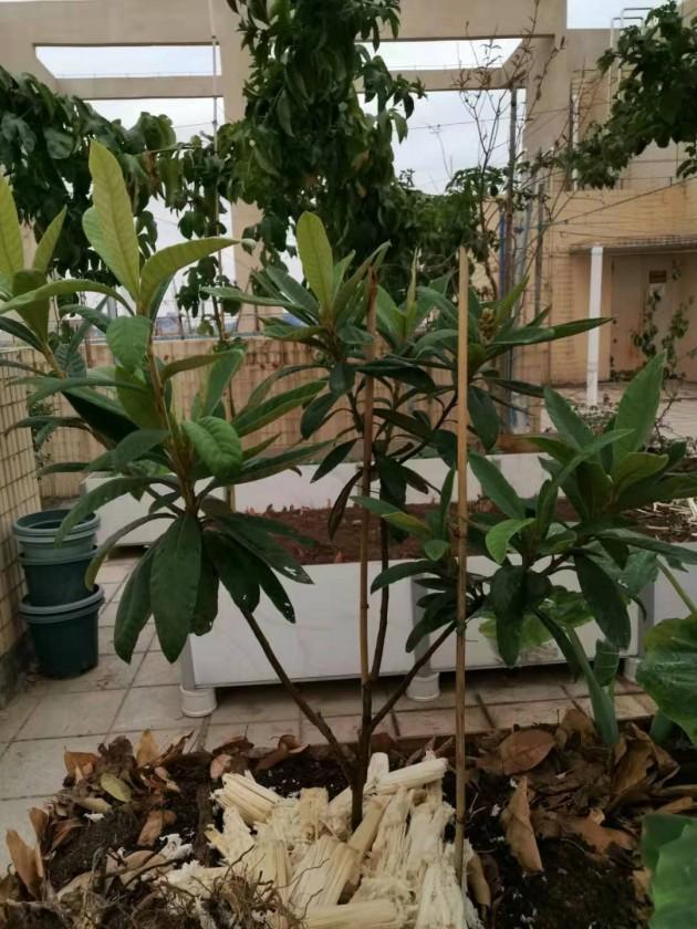 ΢��ͼƬ_20191128151142.jpg