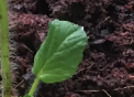 1574930358(1).png