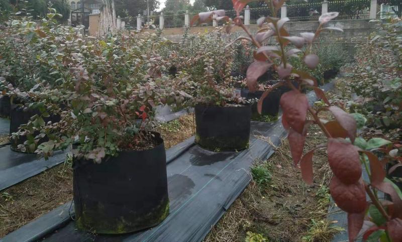 ΢��ͼƬ_20191202124446.jpg