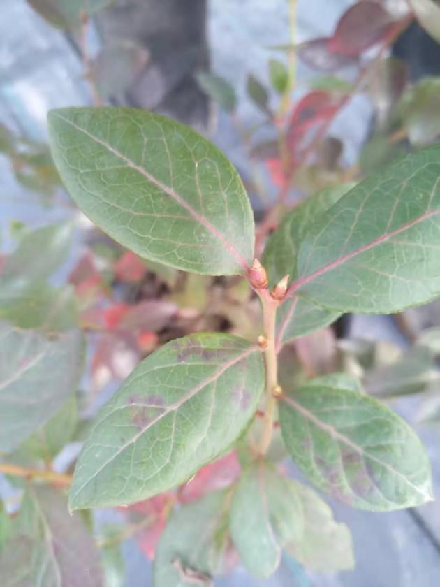 ΢��ͼƬ_20191202124544.jpg