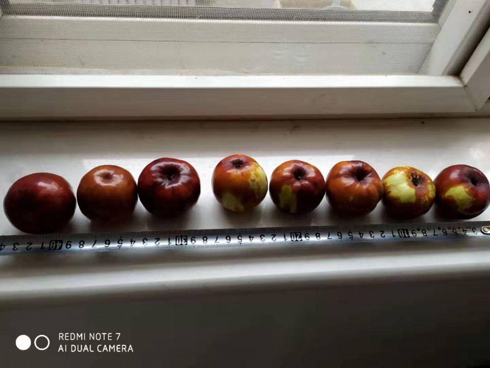΢ͼƬ_20191202211243.jpg