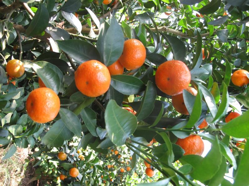 �˰�ɰ�ǽ�20191202