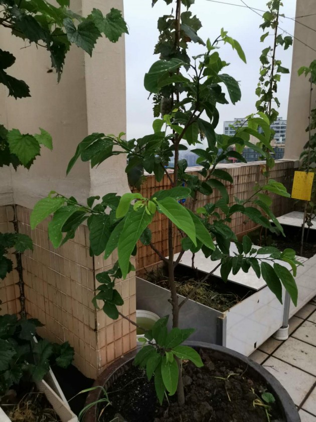 ΢ͼƬ_20190611101851.jpg