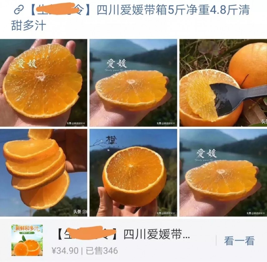 61.webp (1).jpg