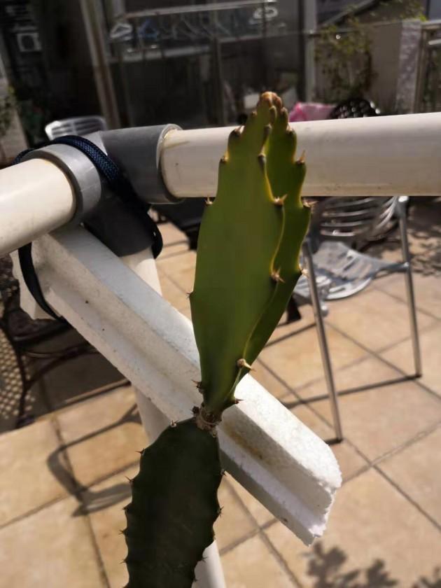 ΢��ͼƬ_20191215202701.jpg