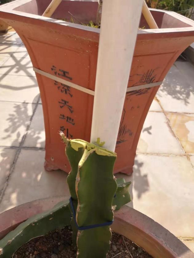 ΢��ͼƬ_20191215202708.jpg