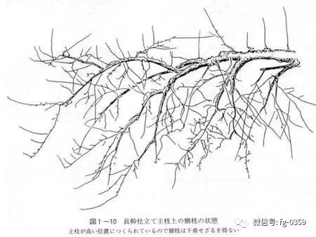 82.webp (1).jpg
