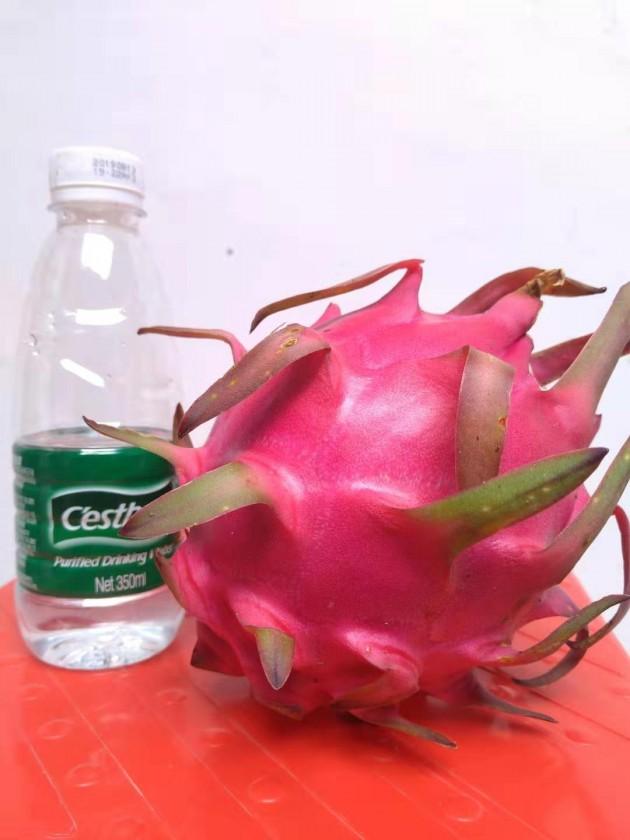 ΢��ͼƬ_20191216162324.jpg