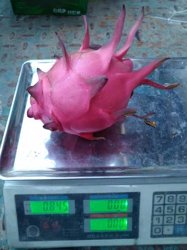 ΢��ͼƬ_20191216162400.jpg