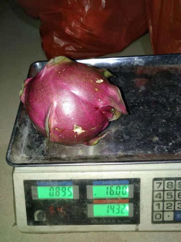 ΢��ͼƬ_20191216162351.jpg