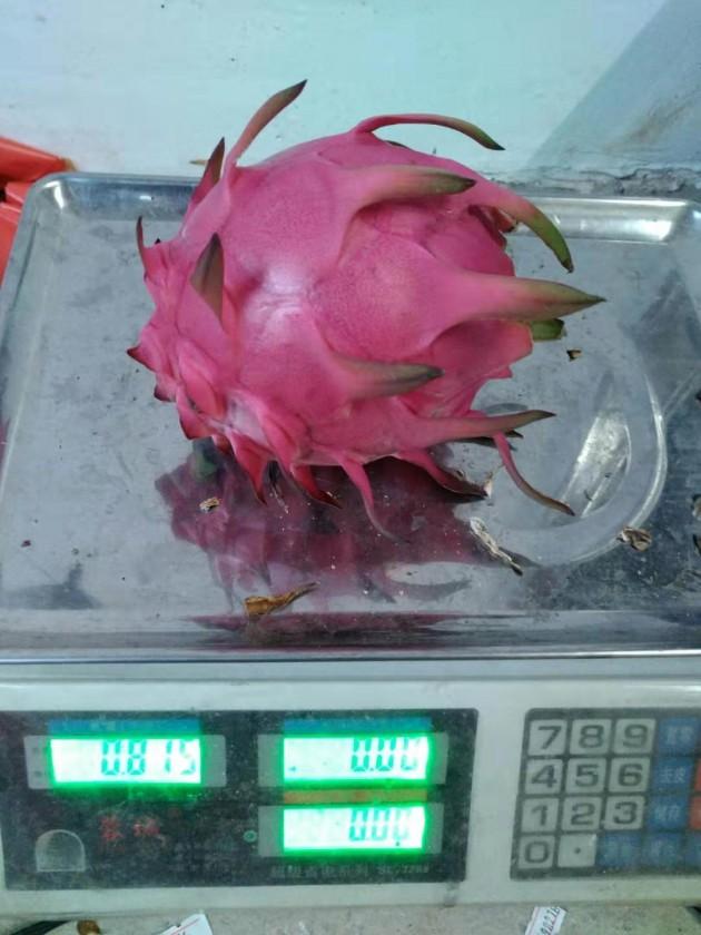 ΢��ͼƬ_20191216162403.jpg
