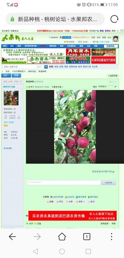 Screenshot_20191216_170930_com.huawei.browser.jpg