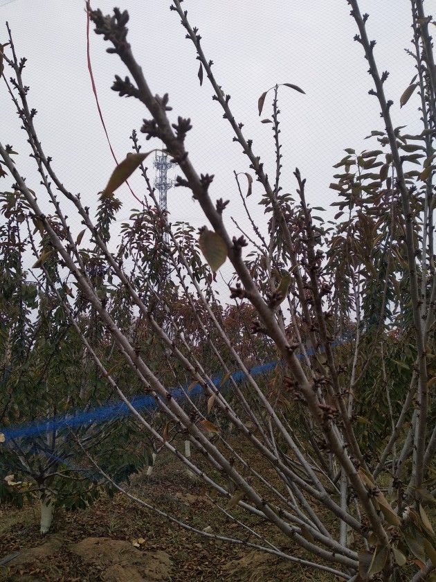 IMG_20191116_140639.jpg