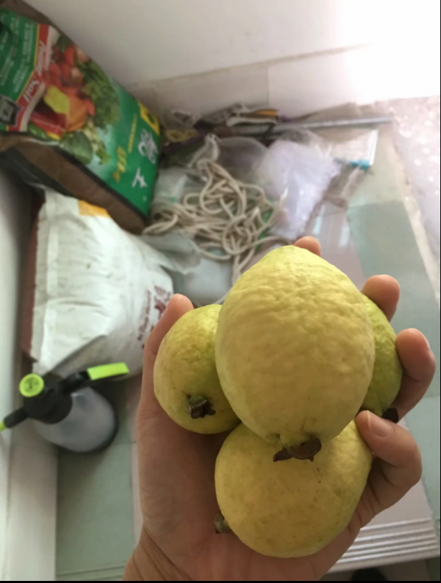 QQͼƬ20191219161956.png
